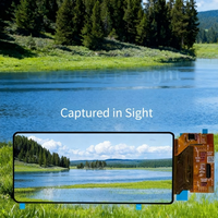 AMOLED Outdoor-betriebsfähiges Display 6,39 Zoll 1080*2340 Auflösung Hohe Definiertheit und Hohe Helligkeit