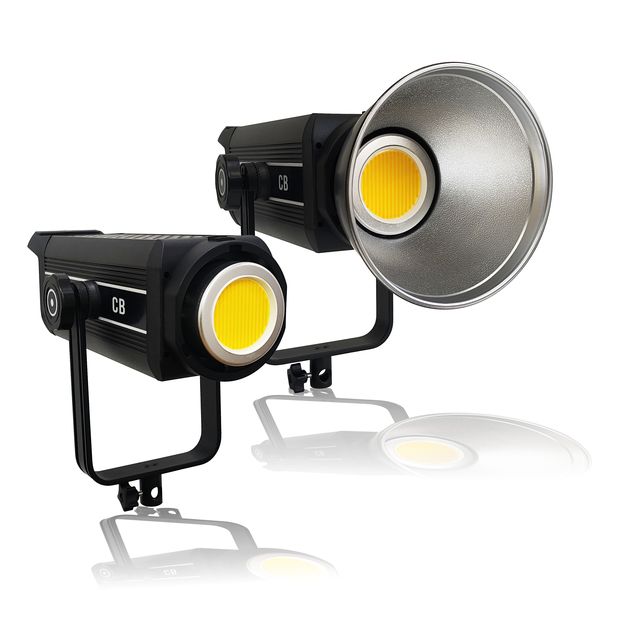 Professional 500W Studio Video LED Light with Portable Remote Cob for Live Streaming and Video Shooting for Selfie Lamp Use