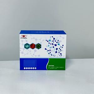 Kit de Investigación ELISA para el Antígeno de Superficie del Virus de la Hepatitis <span class=keywords><strong>B</strong></span> del Ratón (HBsAg) - Product Image 1