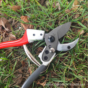 Sécateur pour arbres fruitiers Hisaichiro 828, lame en acier allié de 20-30 mm, structure papillon, outil de jardin - Product Image 3