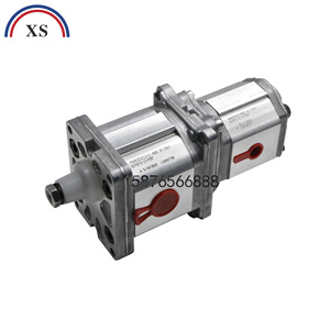 Pola Oil Pump Pola2-<b>D</b>-13-P507 Aluminum For Bona Paper Cutter Italy Made - Product Image 5