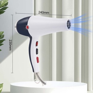 Sèche-cheveux Winning Star 220V, moteur DC, double vitesse, avec concentrateur et diffuseur pour air chaud et froid - Product Image 3