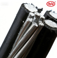 Cable ABC de 1KV de Baja Tensión, Cable Aéreo XLPE de Aluminio, 1 Hilera de Alambre Desnudo (Neutro/Tierra) para Uso en Construcción, 2*10mm JKYLJ 50A