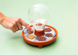 Plato de <span class=keywords><strong>brotes</strong></span>, bandeja, kit de germinación de semillas crece microverduras frescas sin tierra en casa - Product Image 3