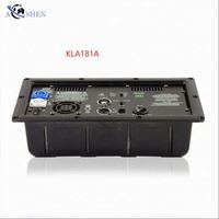 Module d'amplificateur actif en métal de classe D 1000W de l'usine Aoshen pour caisson de basses