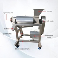 Extracteur de jus en spirale robuste avec séparation automatique des pulpes pour pommes, céleri et légumes – Machine d'extraction à froid