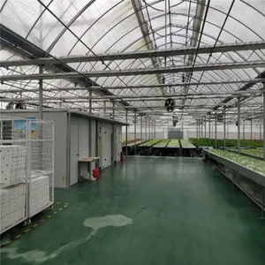 Invernadero de vidrio/película de plástico para camarón, invernadero de acuicultura de peces con sistema de cultivo hidropónico, simbiosis vegetal de peces - Product Image 5