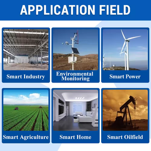 <span class=keywords><strong>PT100</strong></span>プラチナ熱抵抗<span class=keywords><strong>RTD</strong></span>電気カップル温度センサートランスミッタRS485モジュールRTUモジュール - Product Image 6