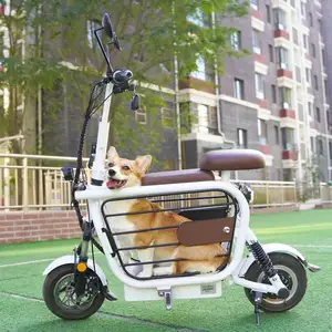 Scooter électrique pliable de vélo électrique de 400 watts le plus populaire avec le panier d'animal familier