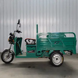 Electric Tricycles 2024 Most 3 Wheel Electric Tricycle Sold For Cargo