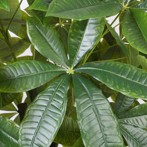 Grand arbre porte-bonheur <span class=keywords><strong>tressé</strong></span> en plastique vert durable pour intérieur, plante artificielle de simulation de fortune - Product Image 5