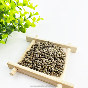 Vente en gros <span class=keywords><strong>de</strong></span> <span class=keywords><strong>graines</strong></span> <span class=keywords><strong>de</strong></span> chanvre biologiques 99% pures décortiquées et non décortiquées à vendre - Product Image 5
