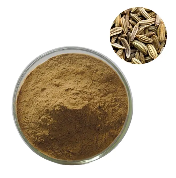 Polvo de semilla de hinojo al mejor precio a granel 10:1 20:1 Extracto de semilla de hinojo a la venta