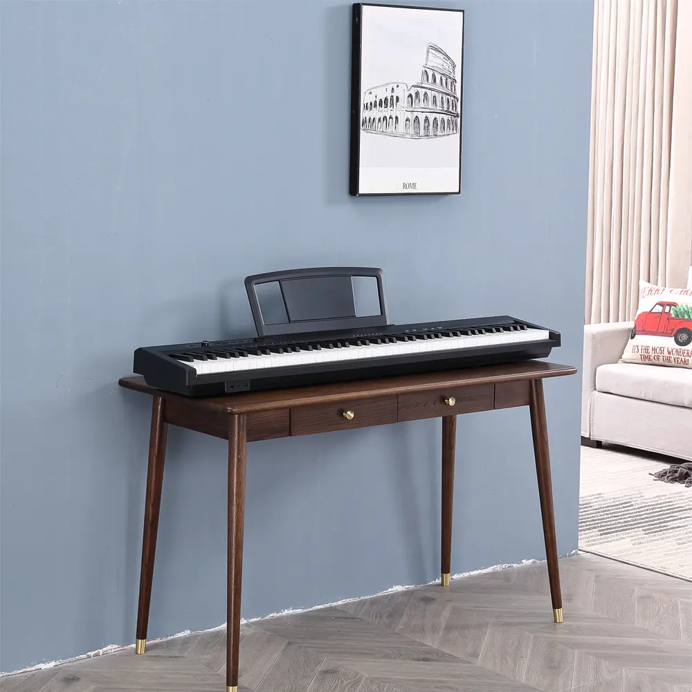 HUASHENG उच्च गुणवत्ता पियानो कीबोर्ड साधन बिजली Oragn पियानो पोर्टेबल बिक्री के लिए