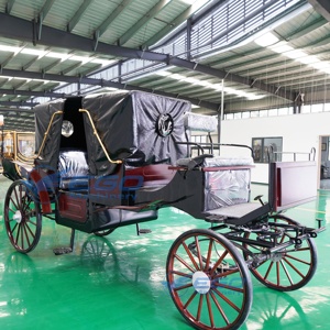 2026 High Quality Best Selling XCEGO Classical Royal Princess Electric Wedding Carriage Horse Draw Henan for Sale Factory Price - Product Image 6