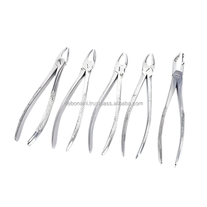 Forceps d'extraction dentaire professionnels pour adultes en acier inoxydable, instrument chirurgical dentaire, poignée ergonomique, fournisseur en gros - Product Image 4