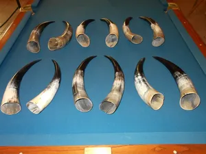 Cuerno de Búfalo Natural de Alta Calidad, Ecológico, Recuerdo Náutico Animal para Decoración Interior Rústica, Creaciones Personalizadas - Product Image 5