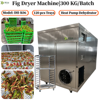 300KG/partij Figuurdroger |   Fruitdroger |   Vijgendroger |   Warmtepompdroger |   Droogmachine voor vijgen