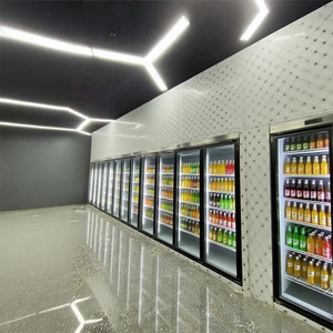 Puerta de cristal de cuarto frío con pantalla de supermercado personalizada con marco de puerta refrigerada para <span class=keywords><strong>andador</strong></span> en congelador enfriador - Product Image 5