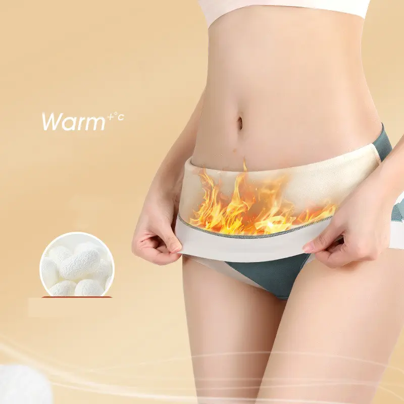 Frauen hohe Taille Unterhose Menstruation periode warme Unterwäsche Verdickung Slips Thermal Plüsch Dralon Baumwolle Höschen