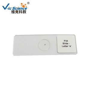 Recommandé pour l'enseignement : diapositives de la lettre « e », matériel pédagogique pour les écoles primaires et secondaires, diapositives de microscope, diverses. - Product Image 5