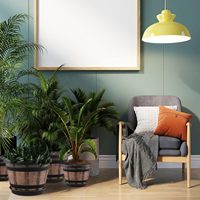 Pot de fleurs en plastique rétro classique, style seau en bois, épaissi, grande taille, pour culture hydroponique de lotus et de nénuphar, grand pot de jardin