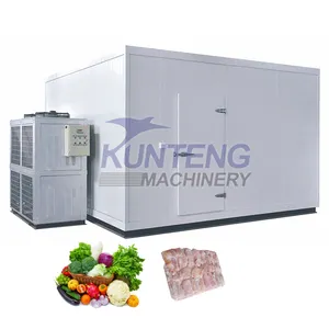 High efficiency walk in freezer cooler room refrigeration cold store machine storage room units for fruits and vegetables