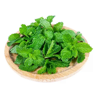 Huile essentielle de menthe poivrée 100% pure, naturelle et biologique pour les soins quotidiens de la peau, les soins bucco-dentaires, les parfums corporels et la fabrication de bonbons