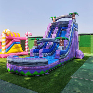 Tobogán Inflable con Diseño de Palmera para Jardín, Tobogán Acuático Gigante Inflable para Niños y Adultos - Product Image 2