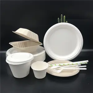 2023 grau alimentício 10 polegada compostável redondo papel placas cana bagaço tirar platos desecables biodegradables