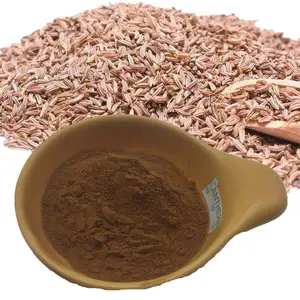 Factory Supply Carum carvi L. Caraway Seeds Extract Powder