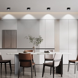 Tùy Chỉnh Ba Màu Sắc Comercial Thông Tư Trong Nhà Màu Đen Trần Spotlight Khách Sạn Biệt Thự Văn Phòng Nhà Sắt Bề Mặt Gắn <span class=keywords><strong>LED</strong></span> <span class=keywords><strong>Downlight</strong></span> - Product Image 6