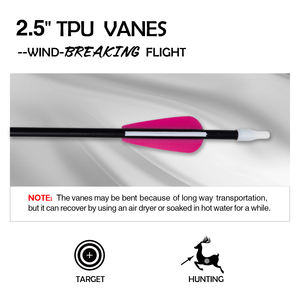 Léger Durable En Gros 6mm/6.75mm En Fiber De Verre Classique <span class=keywords><strong>Longbow</strong></span> Jeunes Flèches En Acier Point En Plastique Plume Tir À L'<span class=keywords><strong>arc</strong></span> Tir - Product Image 3