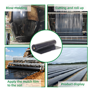 Film de paillage PE noir argenté moulé par soufflage, protection UV, anti-mauvaises herbes, certifié ISO, pour machine <span class=keywords><strong>automatique</strong></span> - Prix usine - Product Image 4