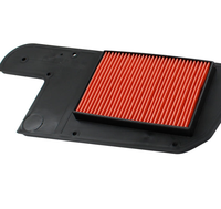 Filtre à air pour motos FORZA 250, BIG SHEEP NSS 250, adapté aux modèles de 2001 à 2003. Filtre à air pour moto.
