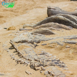 Squelette de dinosaure artificiel en métal Gecai et réplique pour usage commercial extérieur - Product Image 6