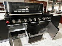 Cuisine extérieure moderne en acier inoxydable avec armoire BBQ, portes vitrées, évier, charnières, tiroir, panier, robinet - Conception modulaire pour appartement