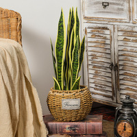 Künstliche Schlangen pflanze Weiche PE Faux Sansevieria Bonsai Große Kaktus Aloe Vera Pflanze Wohnkultur Zimmer pflanzen Landschafts bau Garten