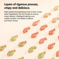 Biscuits de nettoyage dentaire pour chats de haute qualité, friandises pour chats en forme de poisson avec catnip et saumon, friandises naturelles et saines, 200g, saveurs mélangées