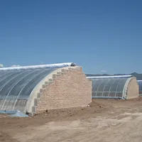Serre à légumes de nouvelle conception avec trois parois en terre pour le chauffage hivernal