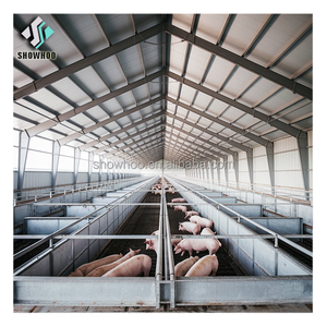 Equipo <span class=keywords><strong>de</strong></span> Porcicultura Rentable para Cría a Gran Escala, Jaula <span class=keywords><strong>de</strong></span> Gestación para Granjas Porcinas, Casa <span class=keywords><strong>de</strong></span> <span class=keywords><strong>Cerdos</strong></span> para Granjas Familiares - Product Image 6