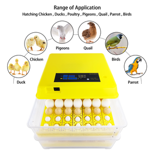 Хит продаж, яичный инкубатор 112 из Китая, яичный инкубатор, яичный инкубатор 112 - Product Image 4
