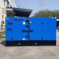 Générateur diesel à inverseur triphasé à démarrage automatique silencieux Wellpower WP-C100GF 20kva-300kva