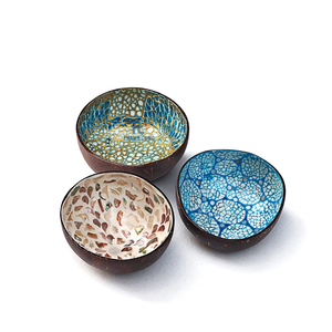 Bol en noix de coco laqué de haute qualité fabriqué au Vietnam peinture en gros bols en coquille de noix de coco bol en noix de coco - Product Image 4