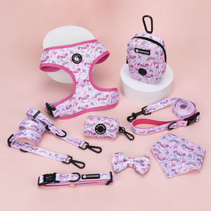 Conjunto de Arnés Personalizado para Perro con Correa y <span class=keywords><strong>Collar</strong></span> Ajustable de Neopreno, Arnés Antitirones para Perro, Correa y <span class=keywords><strong>Collar</strong></span> con Estampado Bonito - Product Image 1