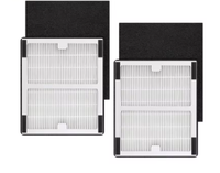 Filtre HEPA de remplacement Idyliss B pour purificateurs d'air IAP-10-050 IAP-10-125 AC-2125, véritable qualité médicale H10, efficacité de 99,97%