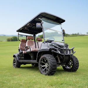 Carrito de Golf de Alta Velocidad para Campos de Golf y Recorridos Largos - Product Image 1