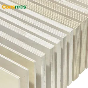 Consmos 3/4 Birch B/BB BB/CP 15 ply 100% Birch Plywood Board