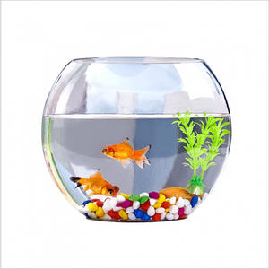 Acuario Transparente Blanco de <span class=keywords><strong>Boca</strong></span> Ancha - Mini Pecera de Vidrio Súper Pequeña - Pecera de Vidrio Creativa <span class=keywords><strong>El</strong></span>íptica para Mesa - Product Image 4