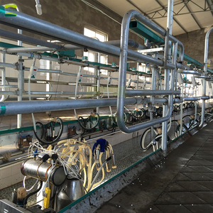 Proyecto Llave en Mano para Granja Lechera <span class=keywords><strong>Holstein</strong></span> de 500 Vacas: Diseño de Planta, Establos, Sistema de Ordeño, Tratamiento de Estiércol y Equipamiento para Cría de <span class=keywords><strong>Ganado</strong></span> - Product Image 3